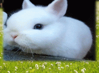 124b1170c39be5d2fb9f3c4715a66967_1649760585_555.gif
