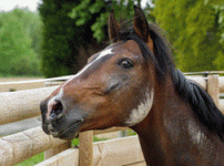 bcdc51d355b3180efebddc52775c29ac_1649141121_4865.gif